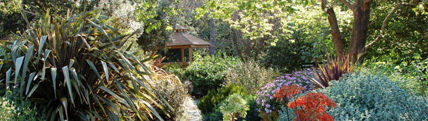 The Entry Garden at the Cal Poly Leaning Pine Arboretum.  Photo by Tom Eltzroth, Emeritus, Horticulture and Crop Science.
